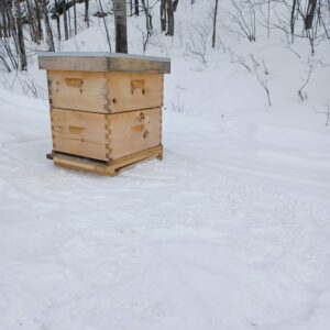 Kit de ruche assemblé