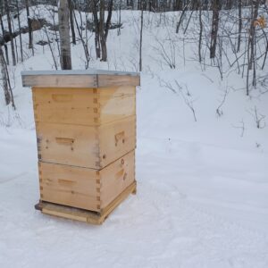 Kit de ruche- 3 hausses