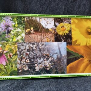 Atelier apicole grand public